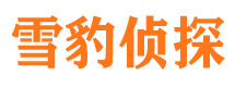 元江市调查公司